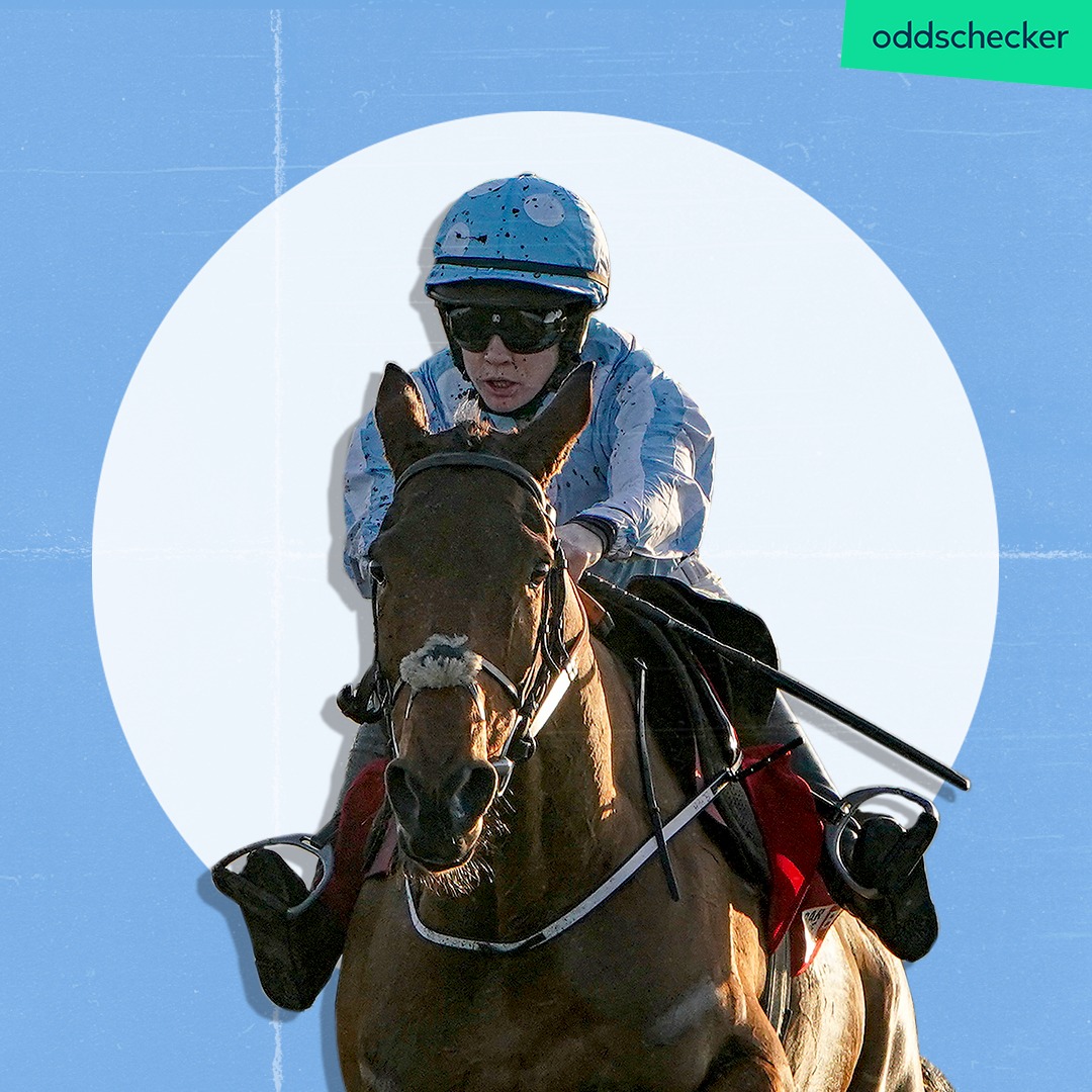 oddsRacing's tweet photo. โ Ballyadam
โ Envoi Allen
โ Honeysuckle
๐ฎ๐ช We are in for a treat tomorrow at Fairyhouse! https://t.co/vPuU1TRBaN