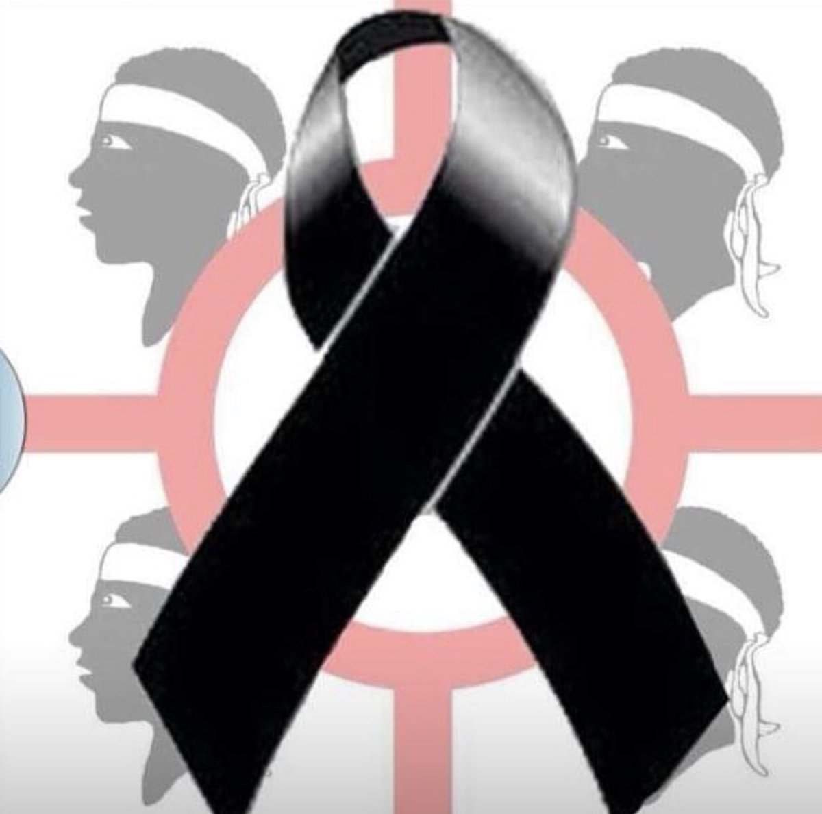 xelenaledda's tweet photo. #Bitti https://t.co/eU9ptQUNo5