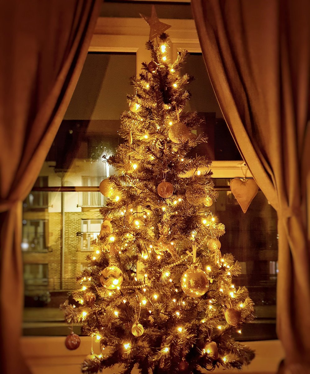 MrRPhilip's tweet photo. Christmas has begun in the Philip's household 🎄 🎅 #Christmas2020 https://t.co/GmD8huvmjR
