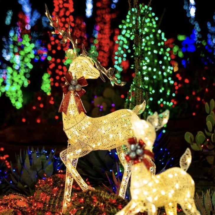 EthelMChocolate's tweet photo. We're keeping things Merry &amp; Bright all season long in our Holiday Cactus Garden. Thank you @lasvegassun for capturing this magical moment! ✨ https://t.co/axmSEpHloW