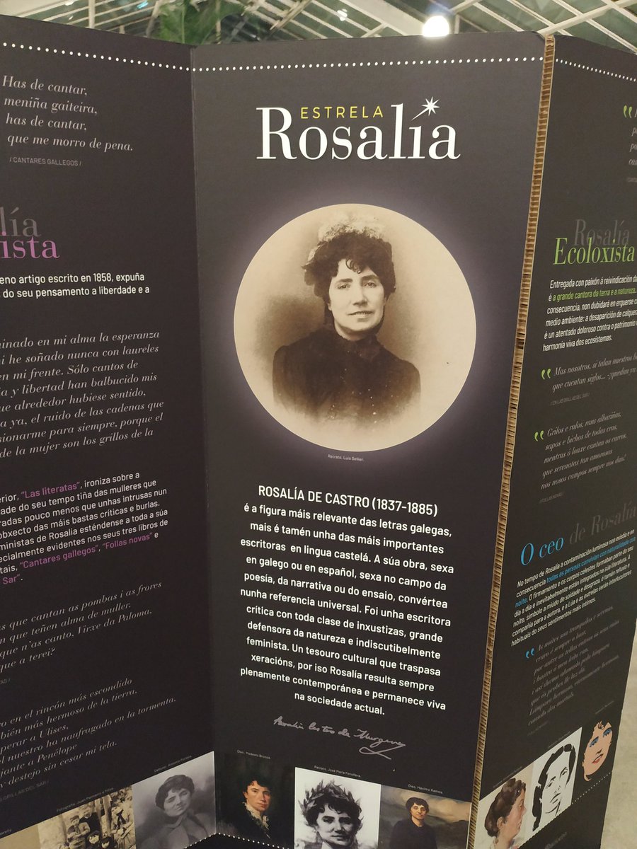 bibcoruna's tweet photo. Últimos días para ver o panel informativo da campaña “Estrela Rosalía de Castro” da @agrupacionio na Biblioteca do Fórum Metropolitano. Mención honorífica en proxecto singular dos Premios #Prismas2020 https://t.co/WaPIryYknB