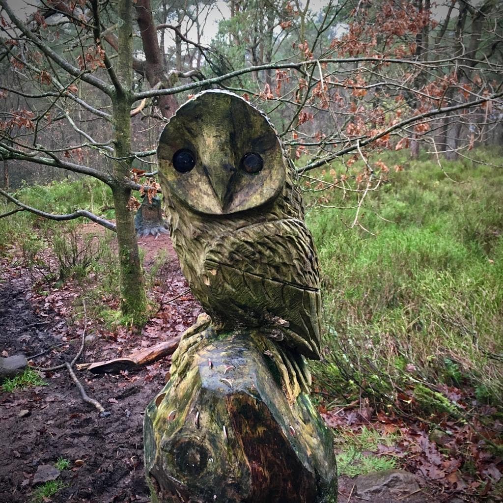 Ever get the feeling you're being watched? 

Another character from today's walk. 🦉

#nature #sculpture #owls #chainsawcarving #TwitterNatureCommunity