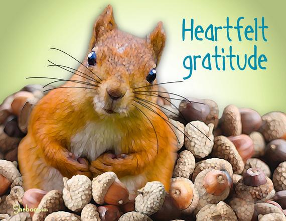 CtrlMNWildlife's tweet photo. We are so grateful for all of our Central Minnesota Wildlife Rehabilitation friends. We are thankful for your friendship and support! Also, thank you for donating to our incubator fundraiser!Our donation goal was met and we will be able to save more lives because of you!#grateful https://t.co/RoFFk6Npea