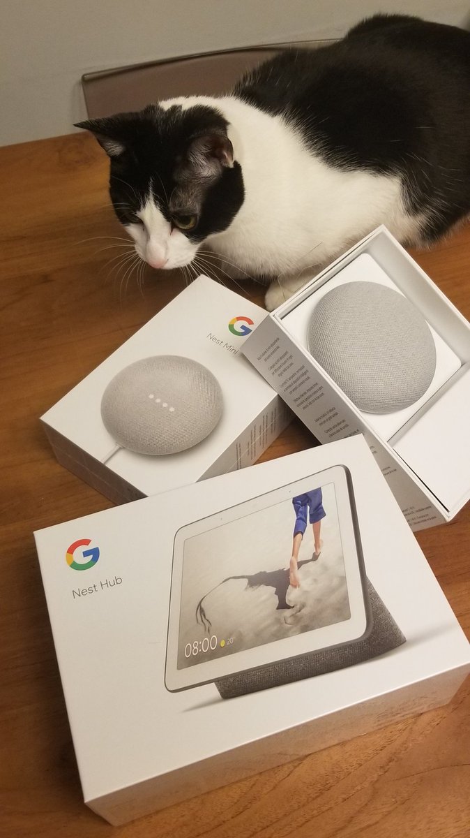 Joaquin Pagliettini tweet media