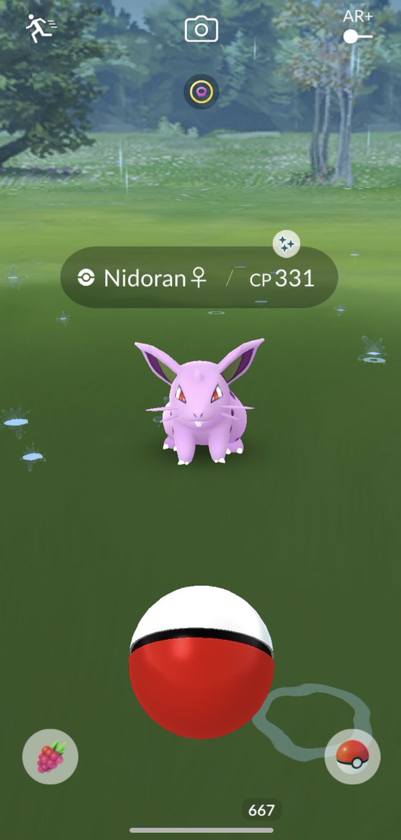 PokemonVipes's tweet photo. Caught myself a Shiny Nidoran, fully evolved her into Shiny Nidoqueen 

#Pokemon #Shiny #Nidoran #Nidoqueen https://t.co/8WTB6EsQmh