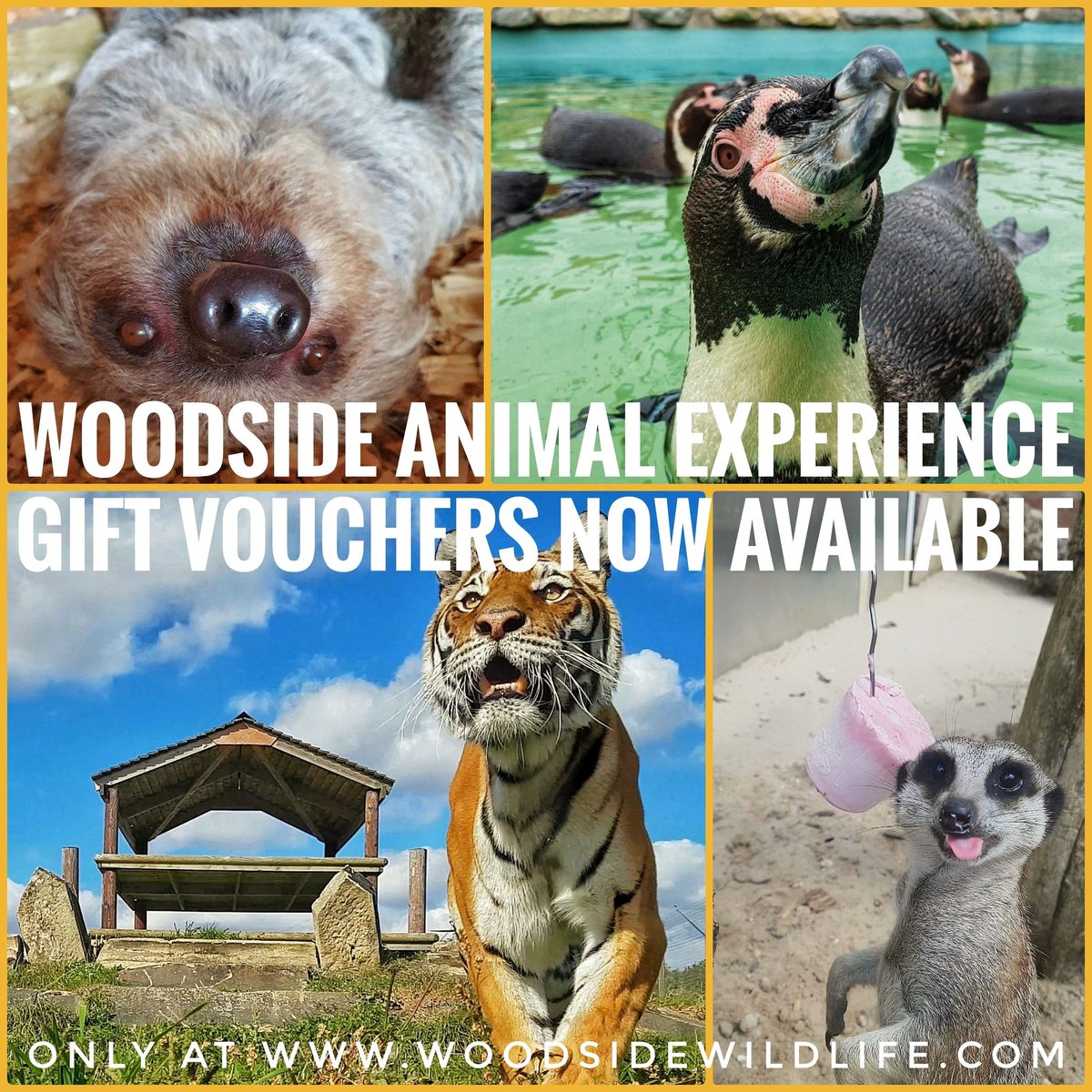 🎁💥 Woodside may be closed for another few weeks, but you can still support us, and get a loved one a unique gift this Christmas at the same time! 💥🎁 🖱 Only at woodsidewildlife.com! 🖱