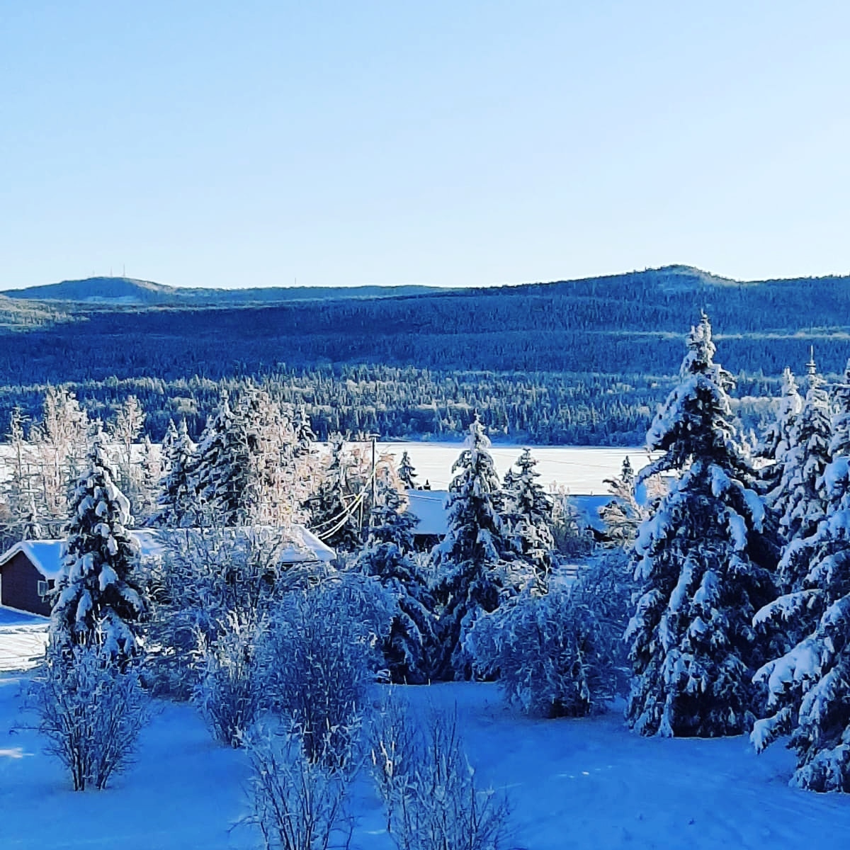 NoInsNeePodcast's tweet photo. Great place to drink a morning coffee with a splash of whiskey...but then your day gets ruined when you think about all th terrible winter drivers out there...
#winter #winterdrivers #snow #dadpops #drive https://t.co/Qjmm4GJkzA