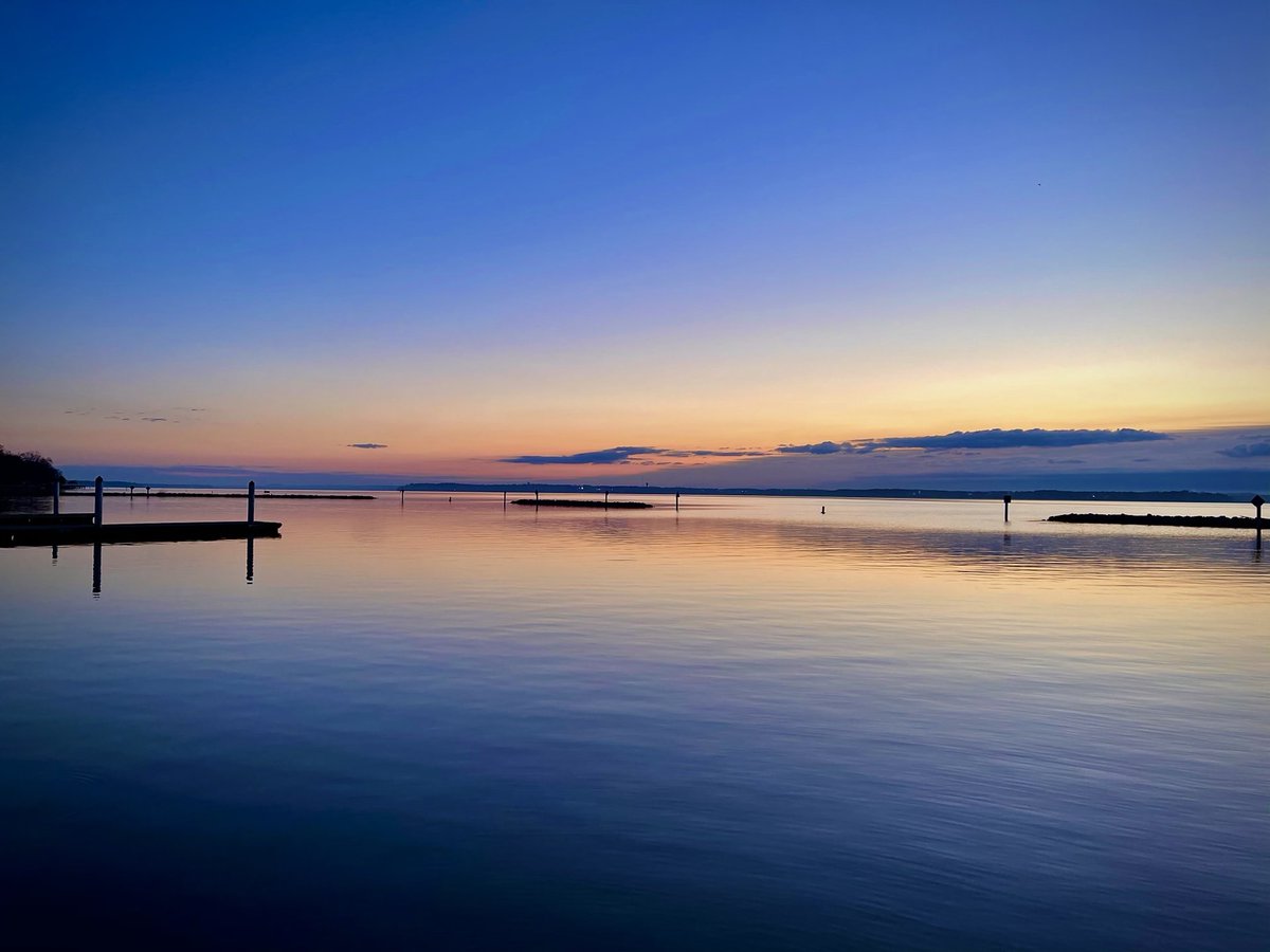 photowhitehouse's tweet photo. The ships of our hearts are sailing with a new dream for the people and all natural things on the planet in the universe! SP photo by William Moon after Black Friday 2020 #sunrise #SaturdayMorning #HappySaturday #drinkingcoffe #seagulls https://t.co/BRL91ZoBhu