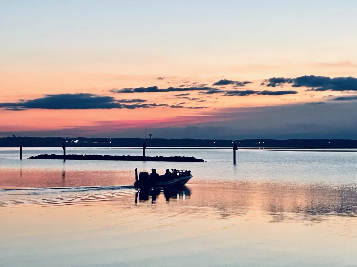 photowhitehouse's tweet photo. The ships of our hearts are sailing with a new dream for the people and all natural things on the planet in the universe! SP photo by William Moon after Black Friday 2020 #sunrise #SaturdayMorning #HappySaturday #drinkingcoffe #seagulls https://t.co/IAyXqsjBxE