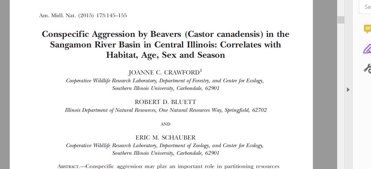 Joanne Crawford ( @wildlifementor) had a cool study looking at scars on beaver pelts, where she found similar age and sex-related patterns of wounds in s. Illinois as we do here with tail scars.  @AhlersAdam