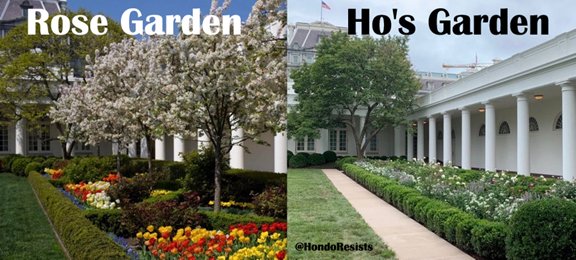 Hondo ☮️ 💔🌻🇺🇦🌻 tweet media