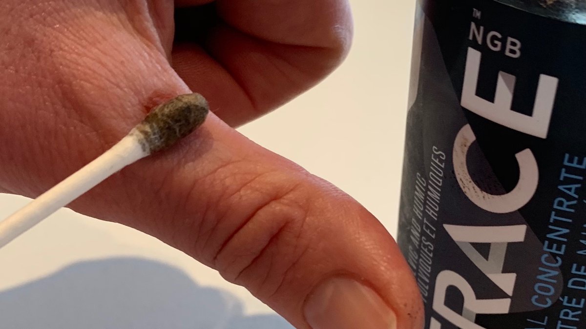 Trace Beverage tweet media