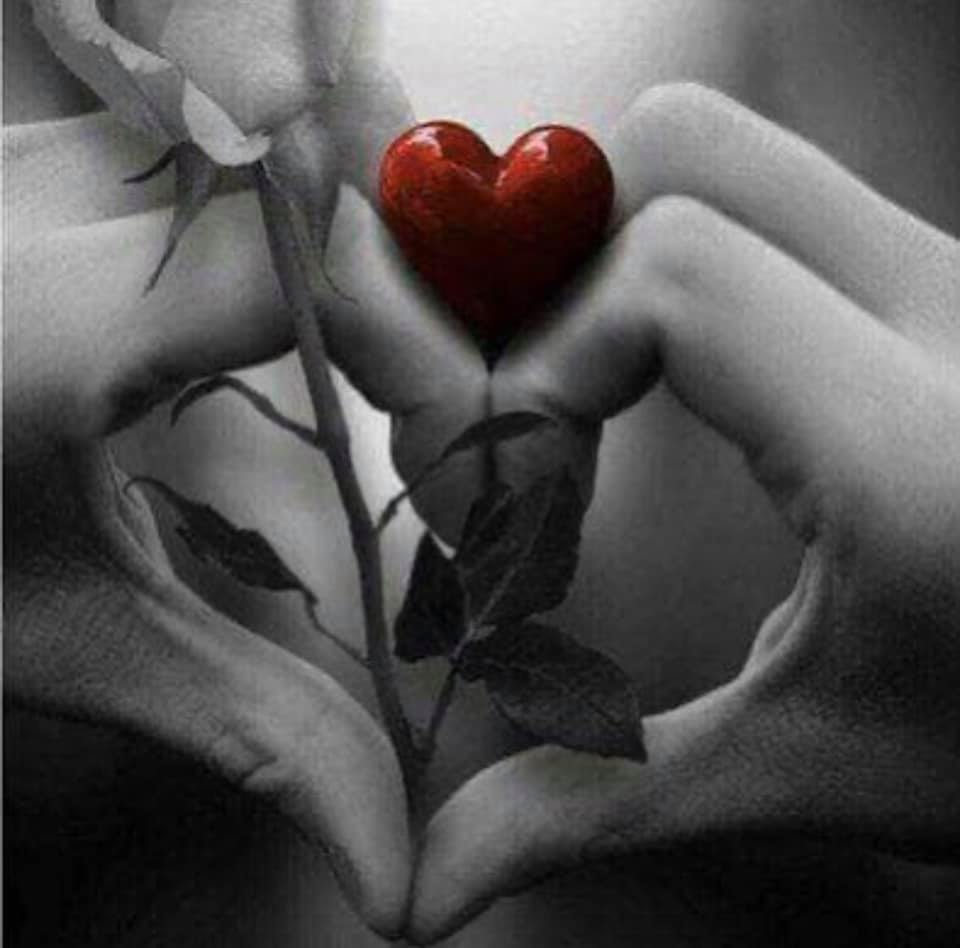 Muhabbat va sevgi haqida ta'sirchan eng sara she'r va qo'shiqlar to'plami