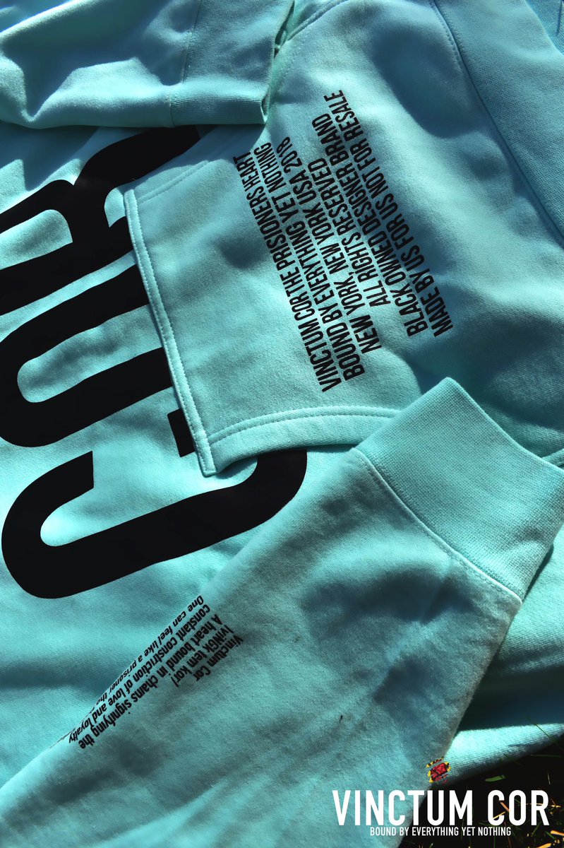 ChronicPE_'s tweet photo. Get a FREE T-shirt when you order two or more hoodies. Offer ends Monday.  Limited availability. 

Shop @ https://t.co/9fSkhpO2Fo 

#BlackOwned #SmallBusinessSaturday https://t.co/OkxdlSpfCQ