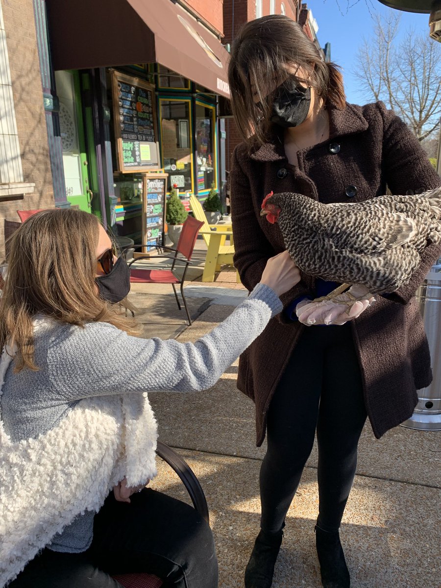 Caffeine Crawl tweet media