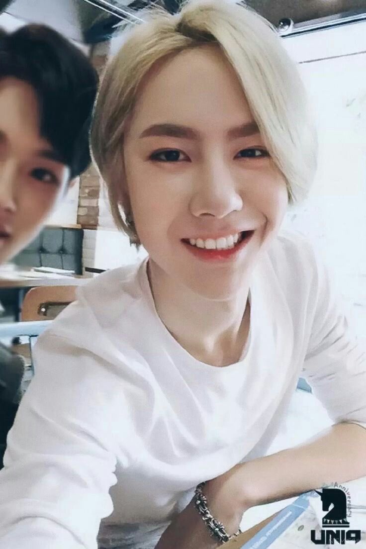 Wyb as raccoons; a thread