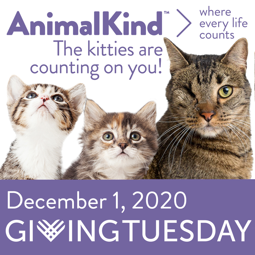 GIVING TUESDAY is COMING -