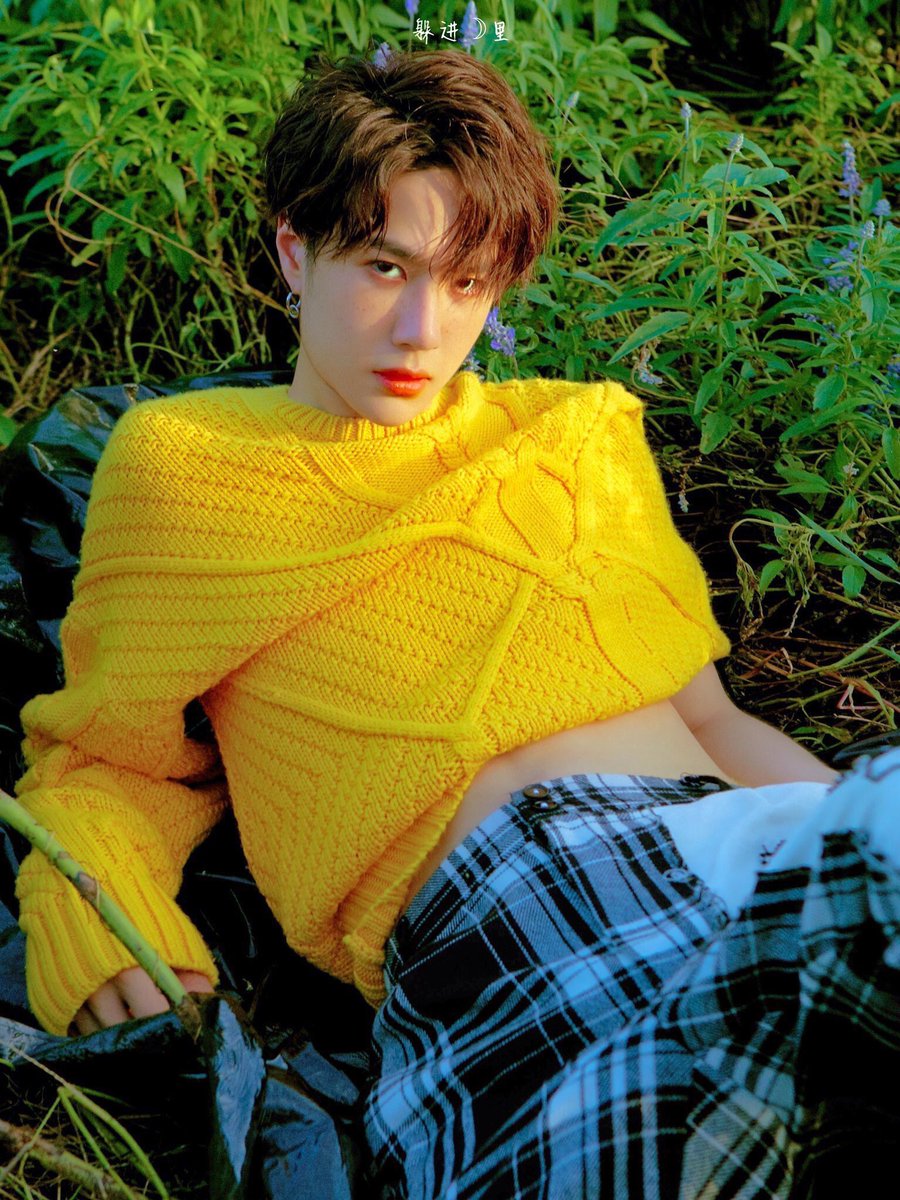 Wyb as raccoons; a thread