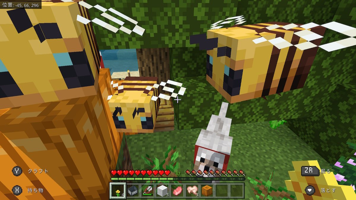 六華 しろん 花持ってたら はちさんになつかれるなど Minecraft マイクラ マインクラフト Nintendoswitch 六華 しろん 花持ってたら はちさんになつかれるなど Minecraft マイクラ マインクラフト Nintendoswitch