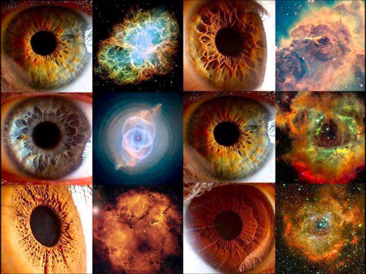 intlspacefed's tweet photo. "The real voyage of discovery consists not in seeking new landscapes... but in having new eyes." - Marcel Proust
#eyes #perception #neweyes #nature #pond #sight #eye #prous https://t.co/EbHzyWYOp1