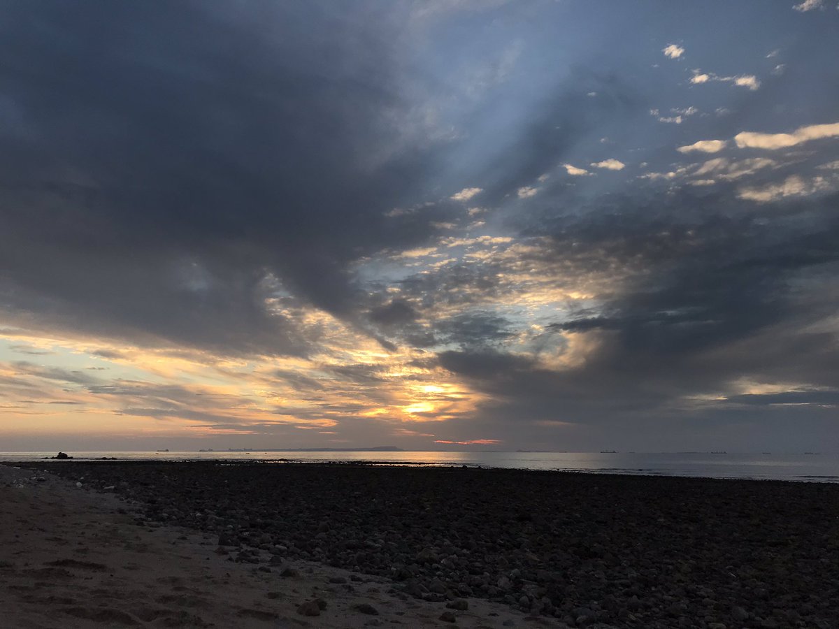 انیگ tweet media