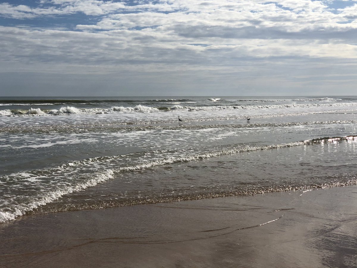 TeachToDream's tweet photo. I walked to my therapy session today! ๐ ๐ ๐ I love sun and wind therapy... it is so relaxing to me. I also enjoyed a construction project. #sandcastle #dripcastle
#DaytonaBeach https://t.co/umrQ8Xx05F