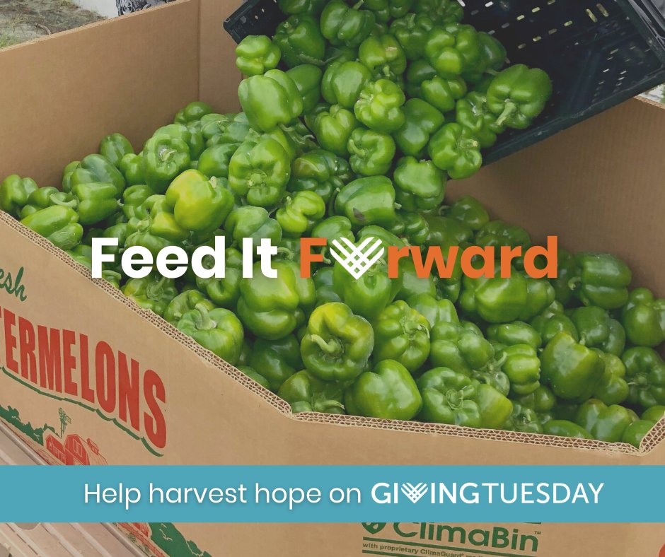 CommunitySRQ's tweet photo. Food is an integral piece to life. We celebrate with it, we grieve with it, and we’re constantly learning more about it. 2020 has demonstrated this more than ever before. On #GivingTuesday, help us invest in a future where we waste not, to feed all. https://t.co/gbq7GGTlDn https://t.co/Z4DZVquDAG