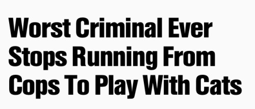 Some gems from my Vell tag on tumblr.