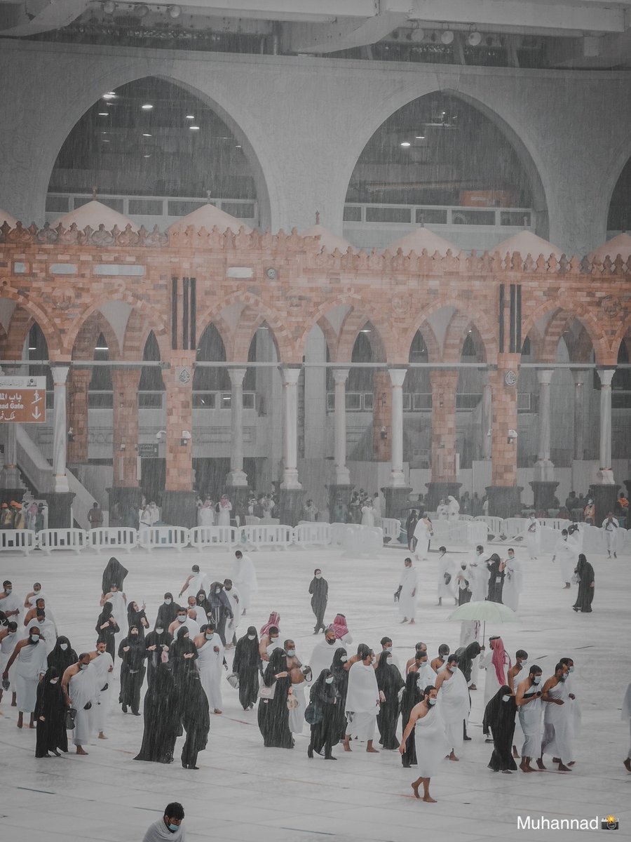 sayaf_22's tweet photo. مشهد بسيط من "الحظ العظيم" ♥️ https://t.co/aP39gIi82u
