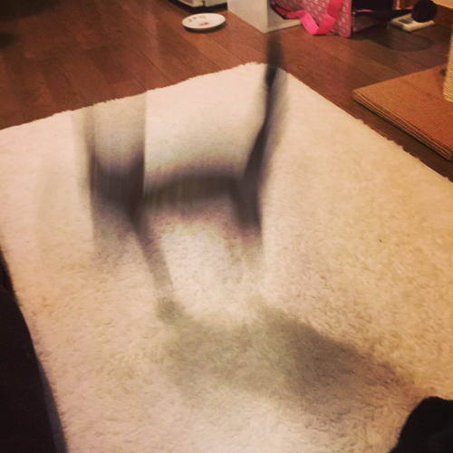 Some gems from my Vell tag on tumblr.