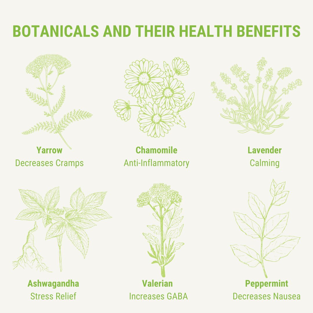 ReleafDr's tweet image. Here are some of the botanicals we use and why 🌿 Read more: drburnsreleaf.com/botanicals-and… #botanicals #naturopathy #naturalremedies