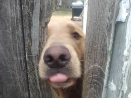 LupitasDuenna's tweet photo. #ImGettingExcitedFor meeting the bitch that just moved in next door! https://t.co/zUkRnq0PIi
