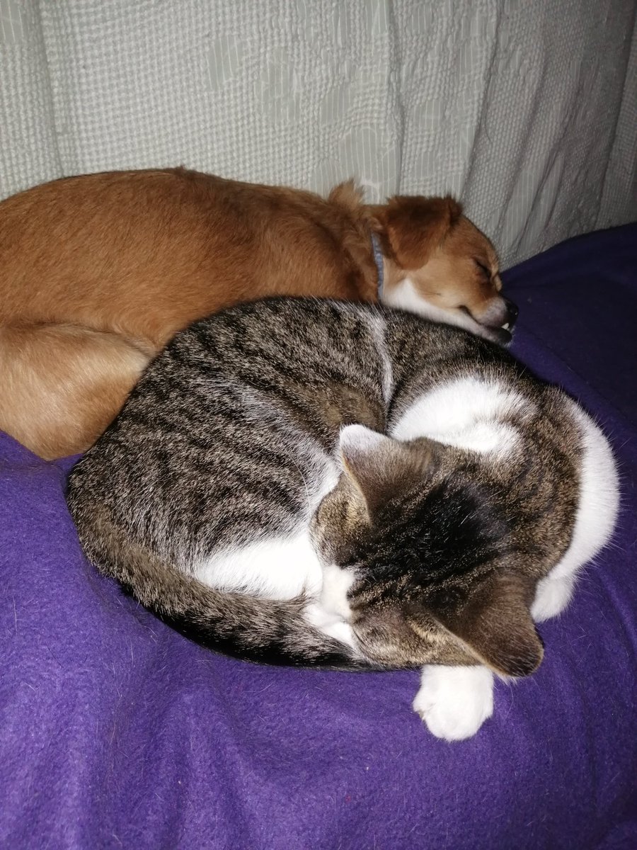 BFF's 4Ever. #Pip #Ayla #TeamVoPiLa