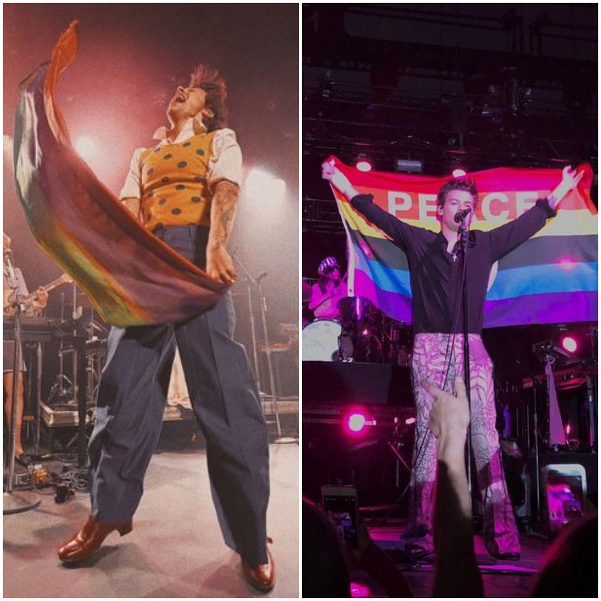 HarOLD's support to LGBTQ effusive AF. beautiful