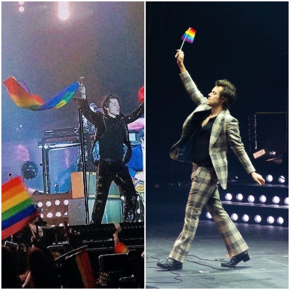 HarOLD's support to LGBTQ effusive AF. beautiful