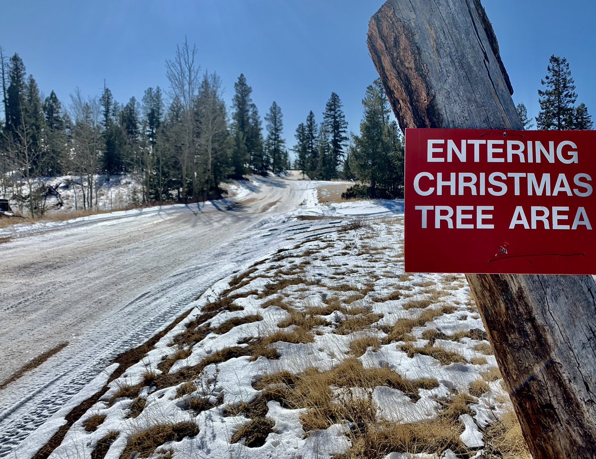 Fred Fletcher tweet media