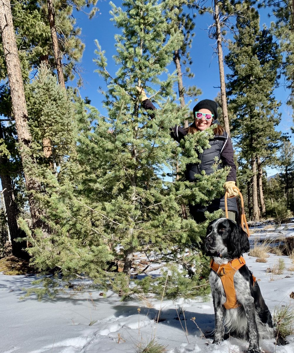 Fred Fletcher tweet media