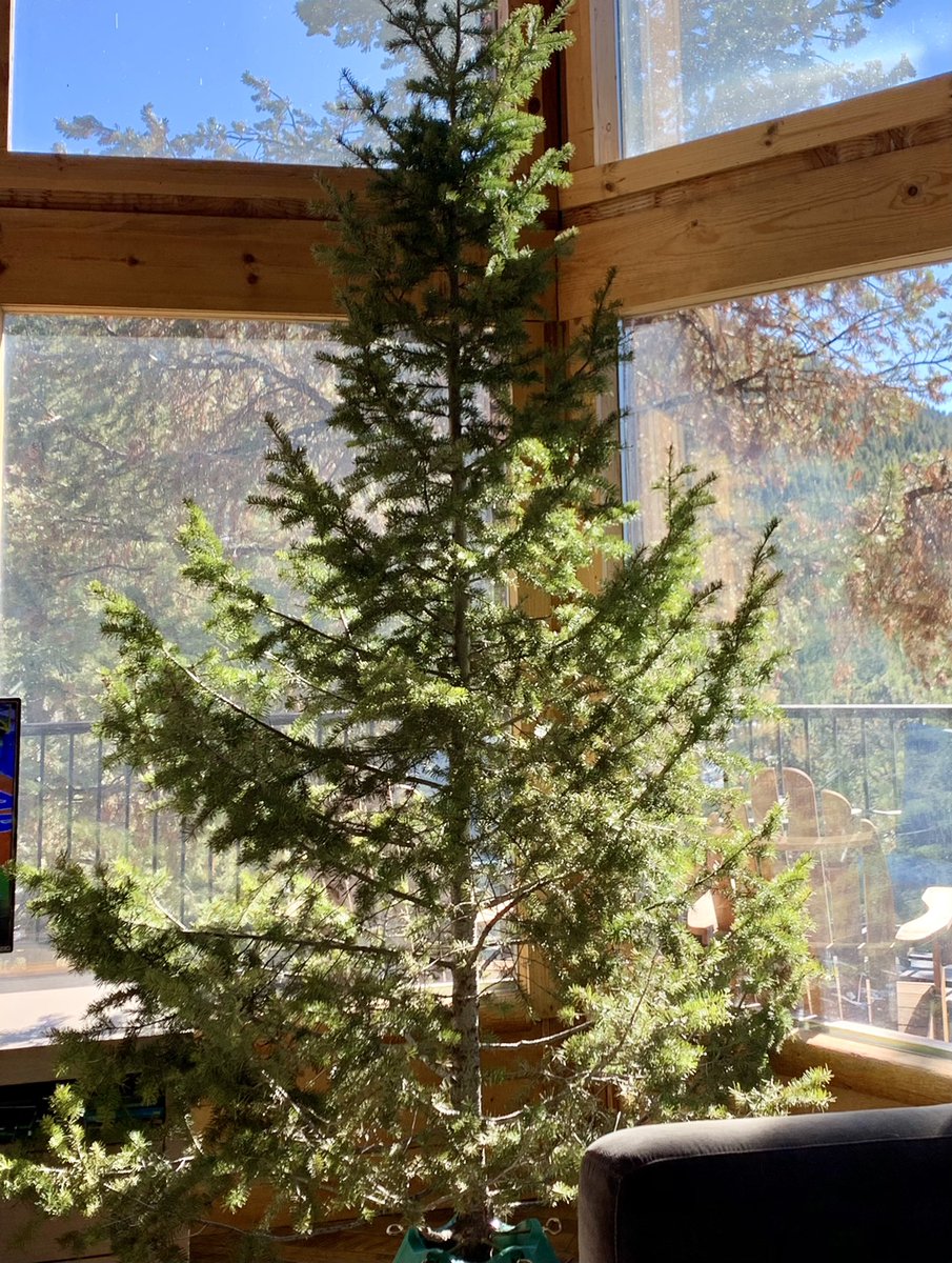 Fred Fletcher tweet media