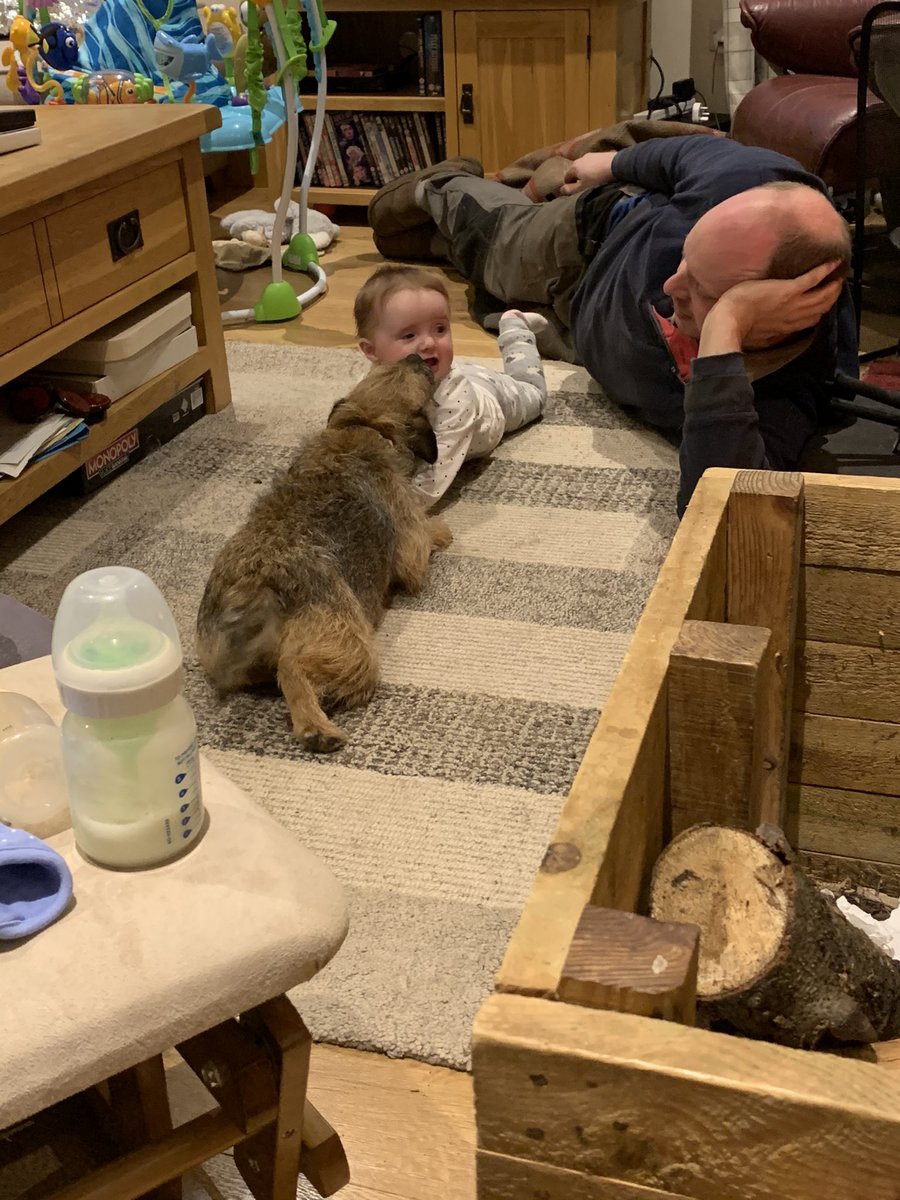 ruralsarah's tweet photo. Best buddies playing together after tea. Belle is delighted Grace has worked out how to pat her tummy! #bordersandbabies #BTPosse #saturdaynightsin https://t.co/GzVHCe02lq