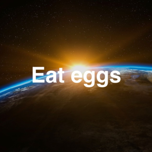 Some gems from my Vell tag on tumblr.