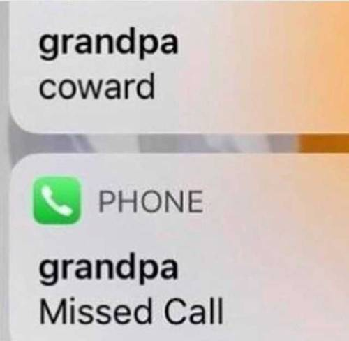 Some gems from my Vell tag on tumblr.