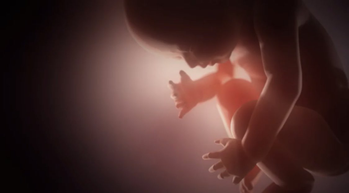 Montenegro Lab (@montenegrolabo) on Twitter photo This video, released today but filmed <a href="/ciqususc/">CiQUS</a> before the pandemia, remembers us that we will get over this and come back stronger. Thanks <a href="/AliciaRioboo/">Alicia Rioboo</a> <a href="/charlenemhw/">Charlene Harriswangler</a> and all members of the <a href="/MontenegroLabo/">Montenegro Lab</a> for your work and dedication ❤️ you all 👉 youtu.be/bGeb_gJQUfU This video, released today but filmed <a href="/ciqususc/">CiQUS</a> before the pandemia, remembers us that we will get over this and come back stronger. Thanks <a href="/AliciaRioboo/">Alicia Rioboo</a> <a href="/charlenemhw/">Charlene Harriswangler</a> and all members of the <a href="/MontenegroLabo/">Montenegro Lab</a> for your work and dedication ❤️ you all 👉 youtu.be/bGeb_gJQUfU