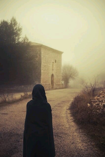 h_a_h_m_a's tweet photo. كم مُهرةٍ عربيةٍ قد زوجت .. خوف العنوسةِ من حمارٍ ناهقِ .

لأحدهم . https://t.co/Q1mI24YieR