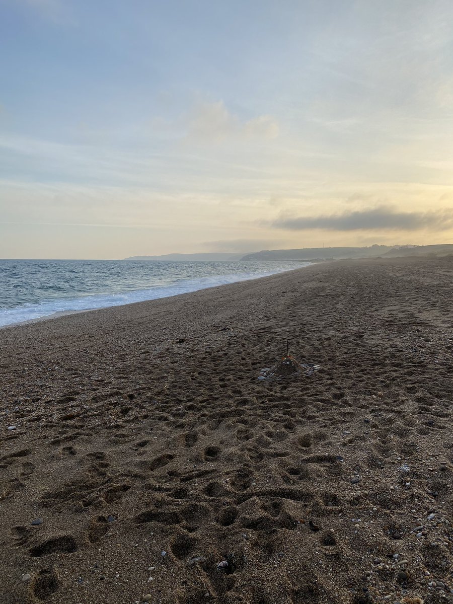jessjpiper's tweet photo. Some time away from the mba assignment did me the world of good today #wellness #wellearnedbreak #familytime #beachdays #headcleared https://t.co/DpcCYwkpHU