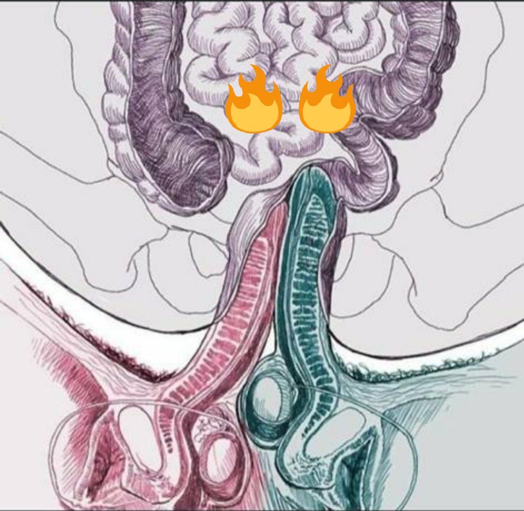 Un antojo de algo así #dosromano 
#andoenbrama 🤤😈🤭