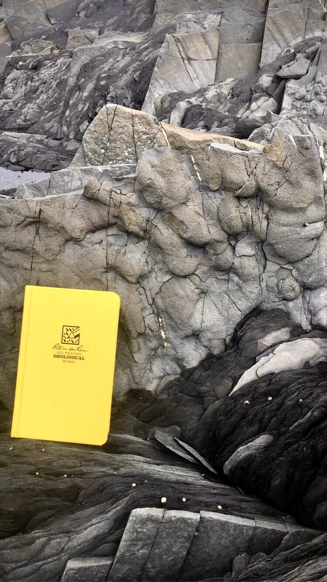 HBrommecker's tweet photo. I’m missing the field a little extra today. Thought you all might appreciate this wicked photo of flute casts at the bottom of a turbidite bed. #Fieldwork #Takemeback #CloridormeFormation https://t.co/kfPCHBnqzR