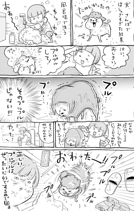 犬と猫どっちも飼ってると、プルプルいろいろで毎日たのしい 
