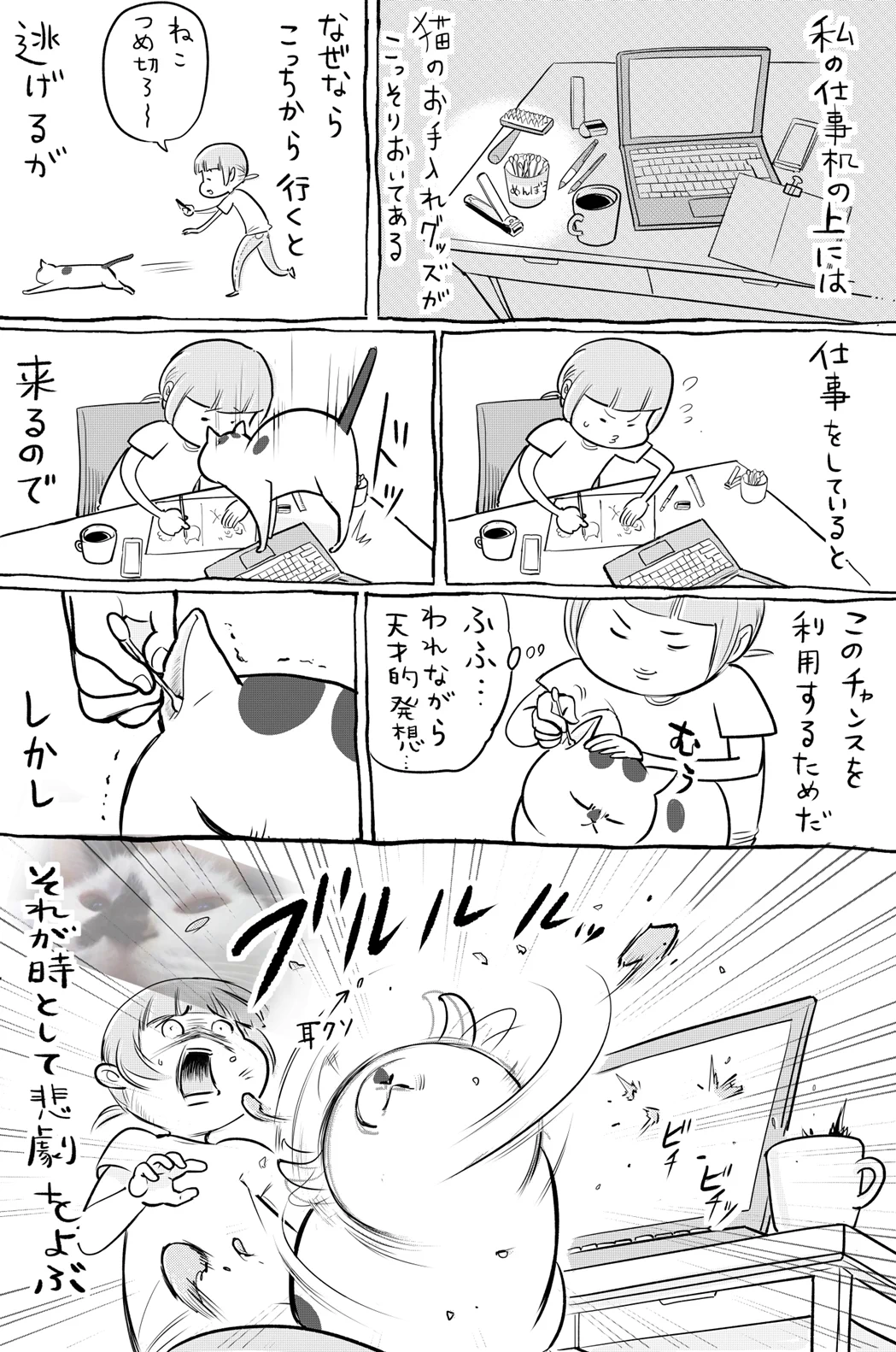 犬と猫のプルプルの違いは？飼い主にとってはどっちも大変www