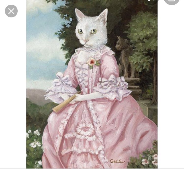 CatPlt's tweet photo. Just bought my grandma her 0.06 p plt dress 😻💅#sexycat #CatsOfTwitter #PLTPINKSATURDAY #PLTSATURDAY #PLTPinkFriday https://t.co/UPmokkKAQG