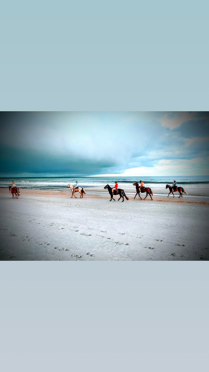 Carmen Wise tweet media